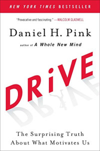 Image of Drive: The Surprising Truth About What Motivates Us