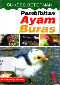 Image of Sukses Berternak Pembibitan Ayam Buras